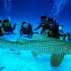 Andaman